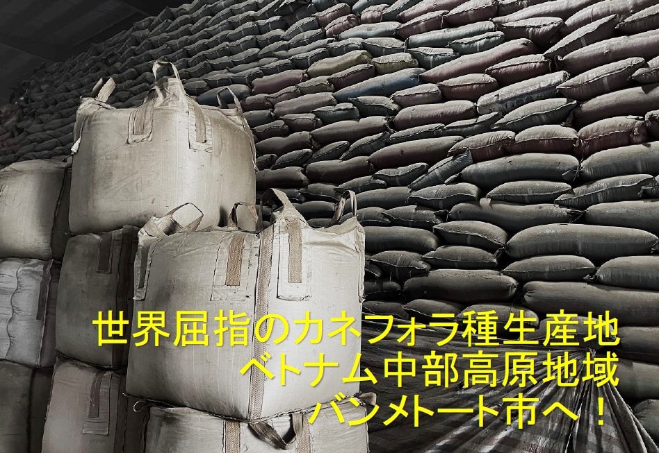 バンメトート市へ